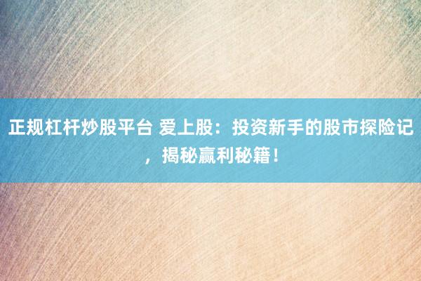 正规杠杆炒股平台 爱上股：投资新手的股市探险记，揭秘赢利秘籍！