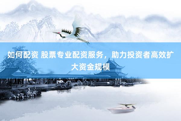 如何配资 股票专业配资服务，助力投资者高效扩大资金规模
