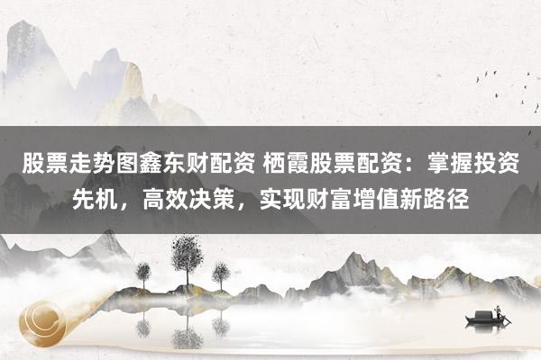 股票走势图鑫东财配资 栖霞股票配资：掌握投资先机，高效决策，实现财富增值新路径