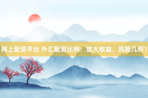 网上配资平台 外汇配资比例：放大收益，风险几何？
