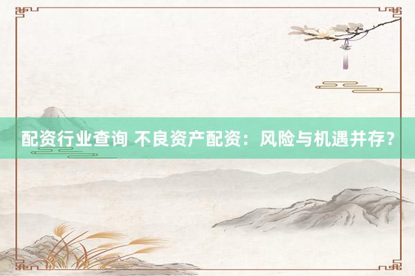 配资行业查询 不良资产配资：风险与机遇并存？