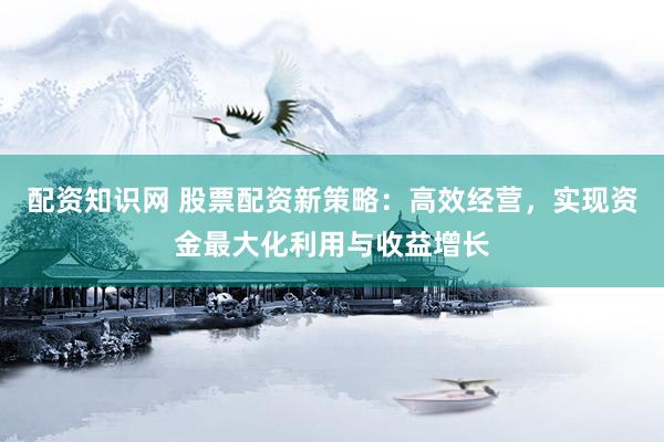 配资知识网 股票配资新策略：高效经营，实现资金最大化利用与收益增长