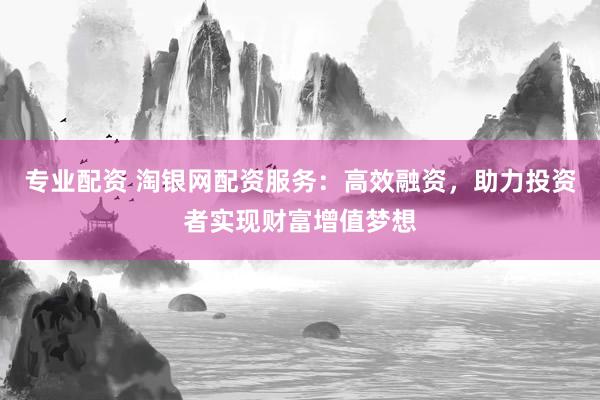 专业配资 淘银网配资服务：高效融资，助力投资者实现财富增值梦想