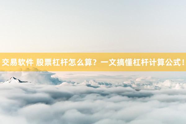 交易软件 股票杠杆怎么算?一文搞懂杠杆计算公式!