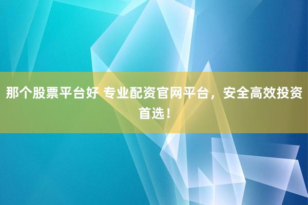 那个股票平台好 专业配资官网平台，安全高效投资首选！